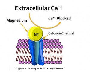 ca-mg-cells