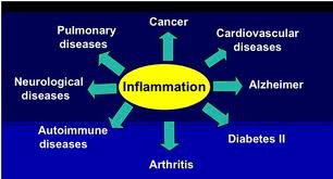 inflammation1